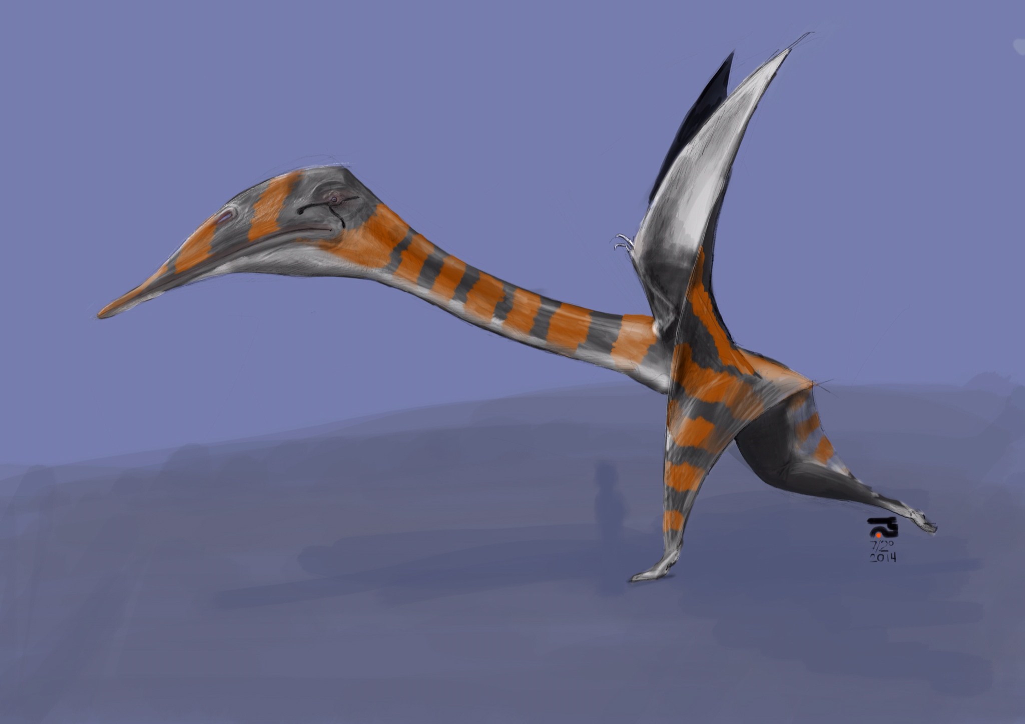 quetzalcoatlus wingspan