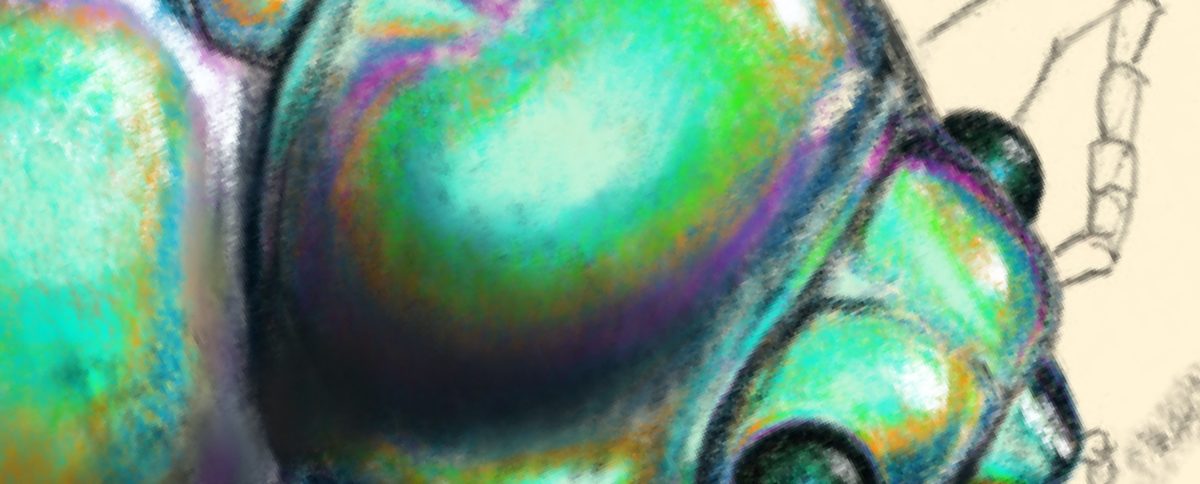 Iridescence: Evolution’s Love Letter to Color